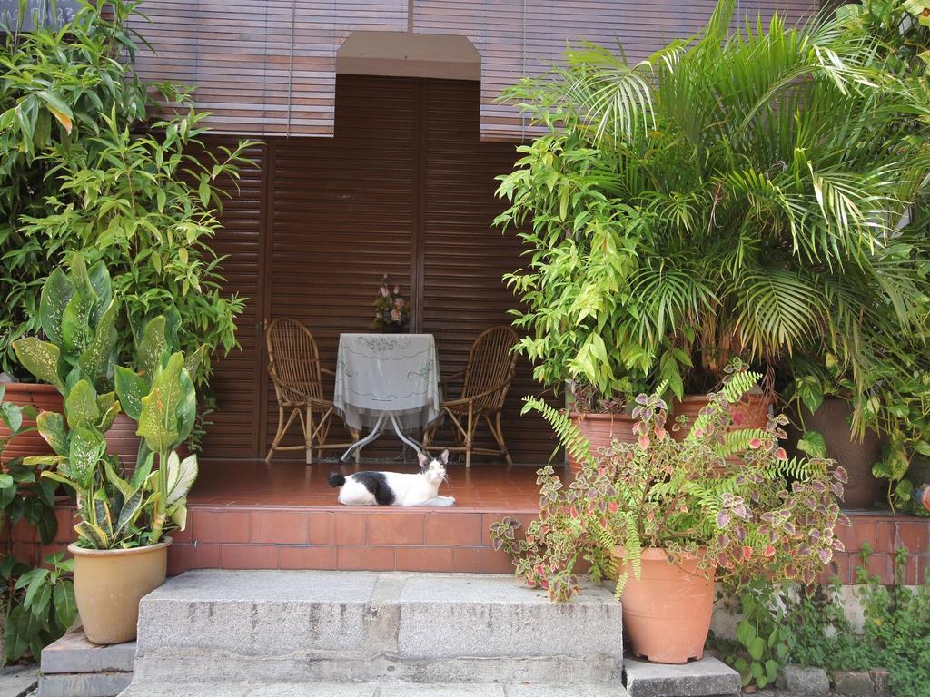 Cocoa Mews Cafe And Homestay Джорджтаун Экстерьер фото